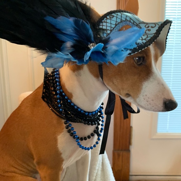 NO clowning around.... - Picture 11 of 16